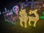 Blackwood Christmas Lights Blackwood Christmas Lights